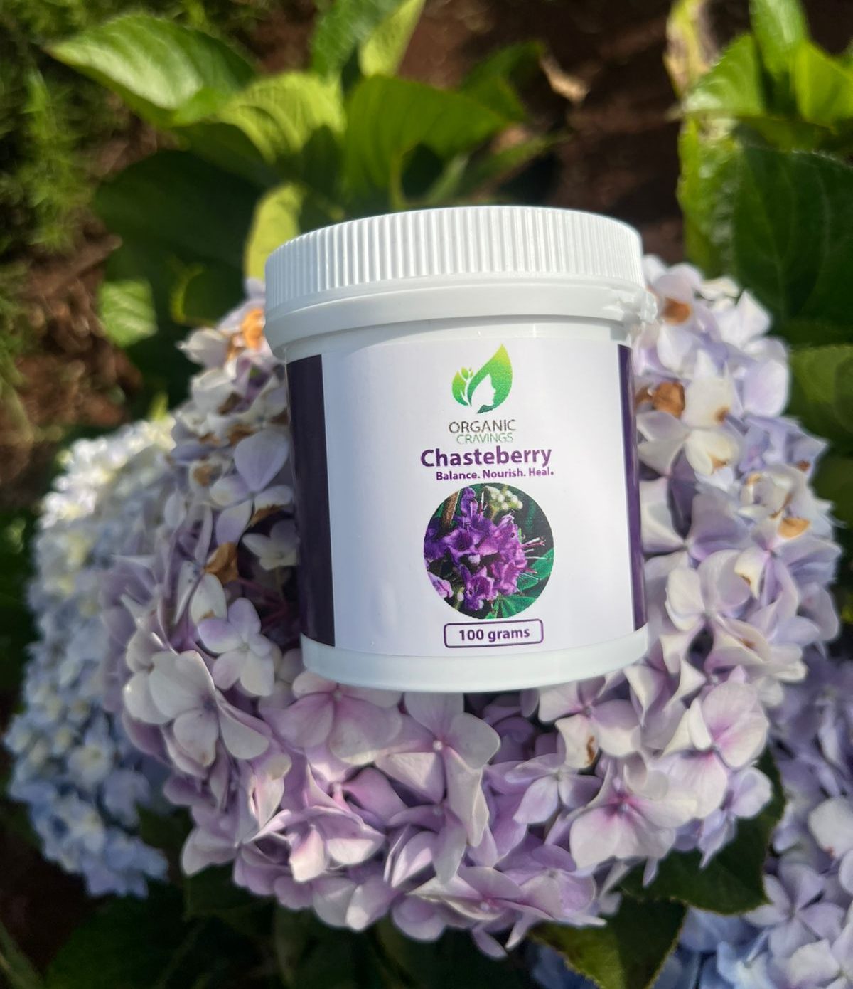 Chasteberry(vitex) Extract