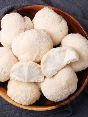 Lion's Mane Mushroom Extract